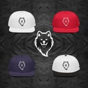 S.C Snapback