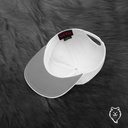 S.C Snapback